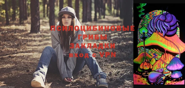 PSILOCYBIN Бородино