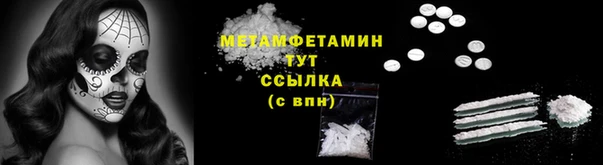 PSILOCYBIN Бородино