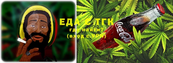 PSILOCYBIN Бородино