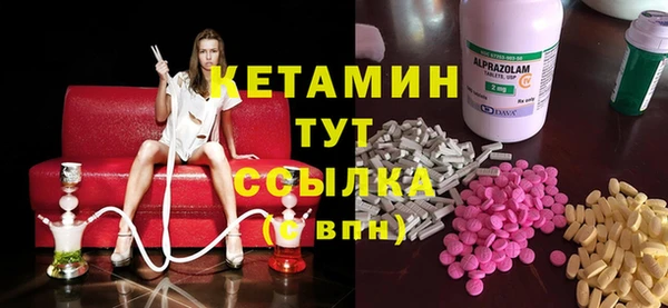 PSILOCYBIN Бородино